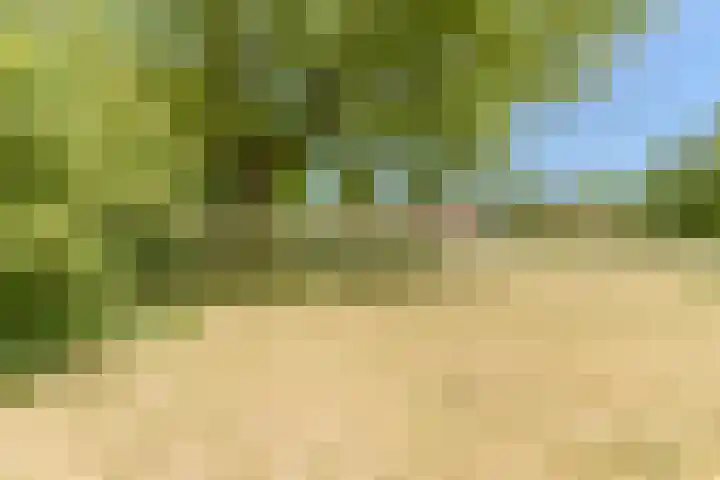 Evertsenstraat 38 Veghel thumbnail 68