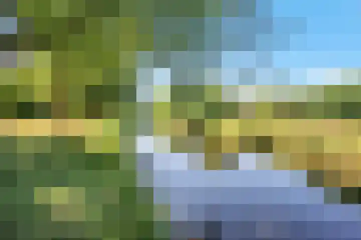 Evertsenstraat 38 Veghel thumbnail 69