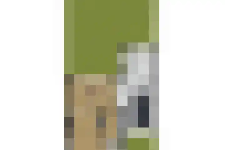 Evertsenstraat 38 Veghel thumbnail 71