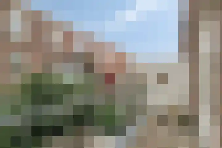 Evertsenstraat 42 Nijmegen thumbnail 16