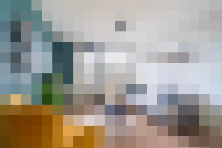 Evertsenstraat 44 Papendrecht thumbnail 11