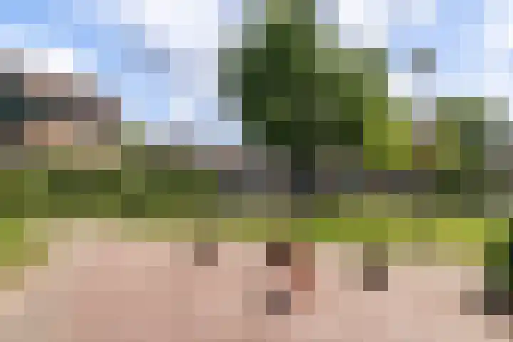 Evertsenstraat 44 Papendrecht thumbnail 31