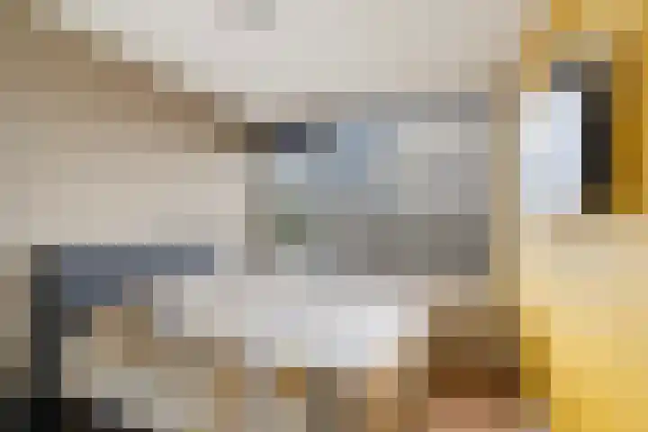 Evertsenstraat 44 Papendrecht thumbnail 4
