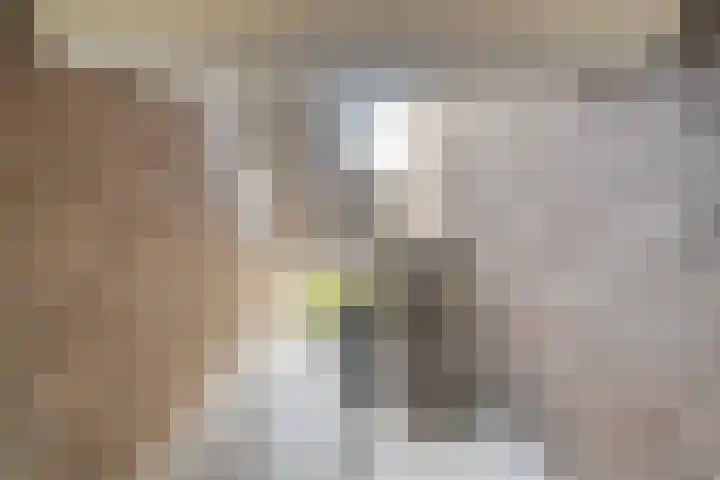 Evertsenstraat 44 Papendrecht thumbnail 8
