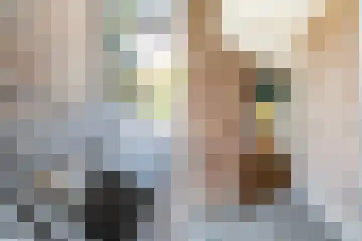 Evertsenstraat 44 Papendrecht thumbnail 9