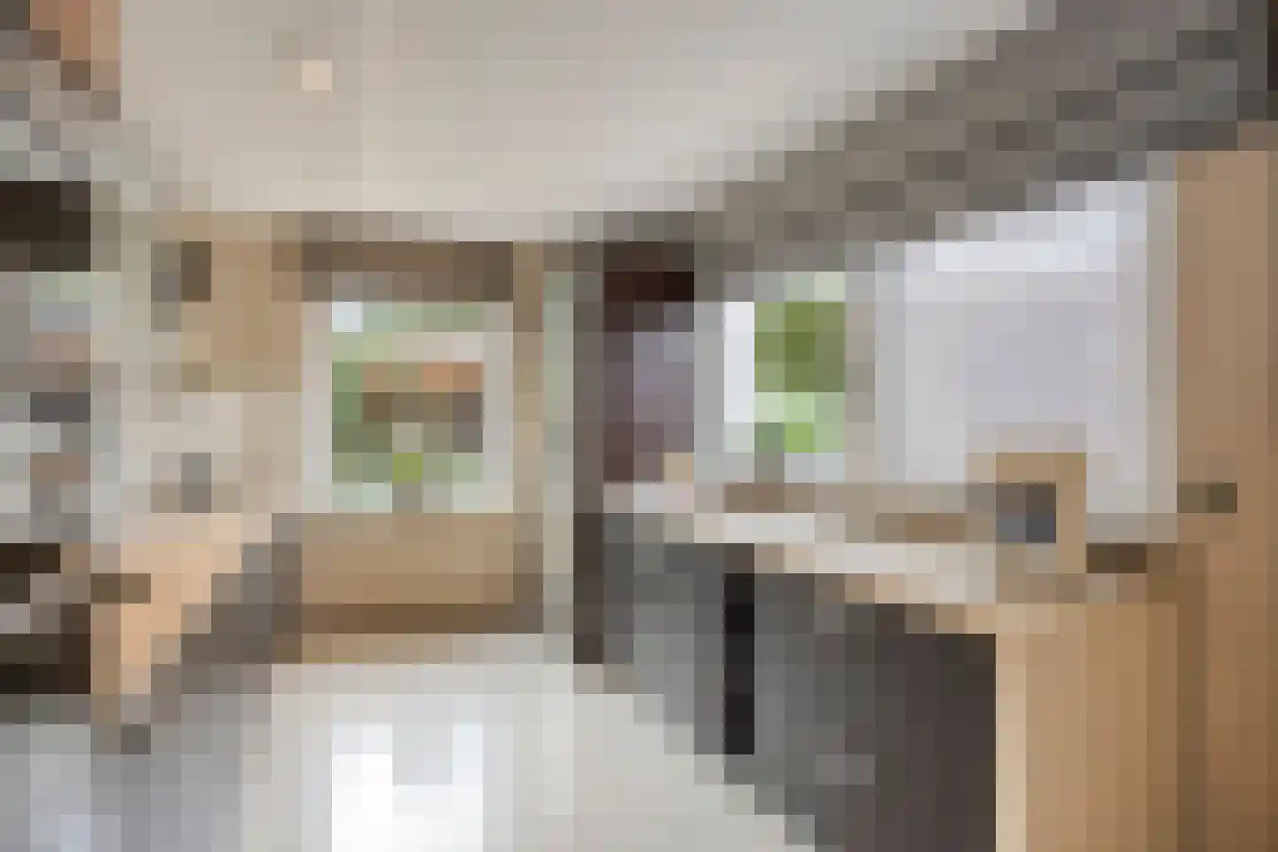 Evertsenstraat 44 Veghel thumbnail 18