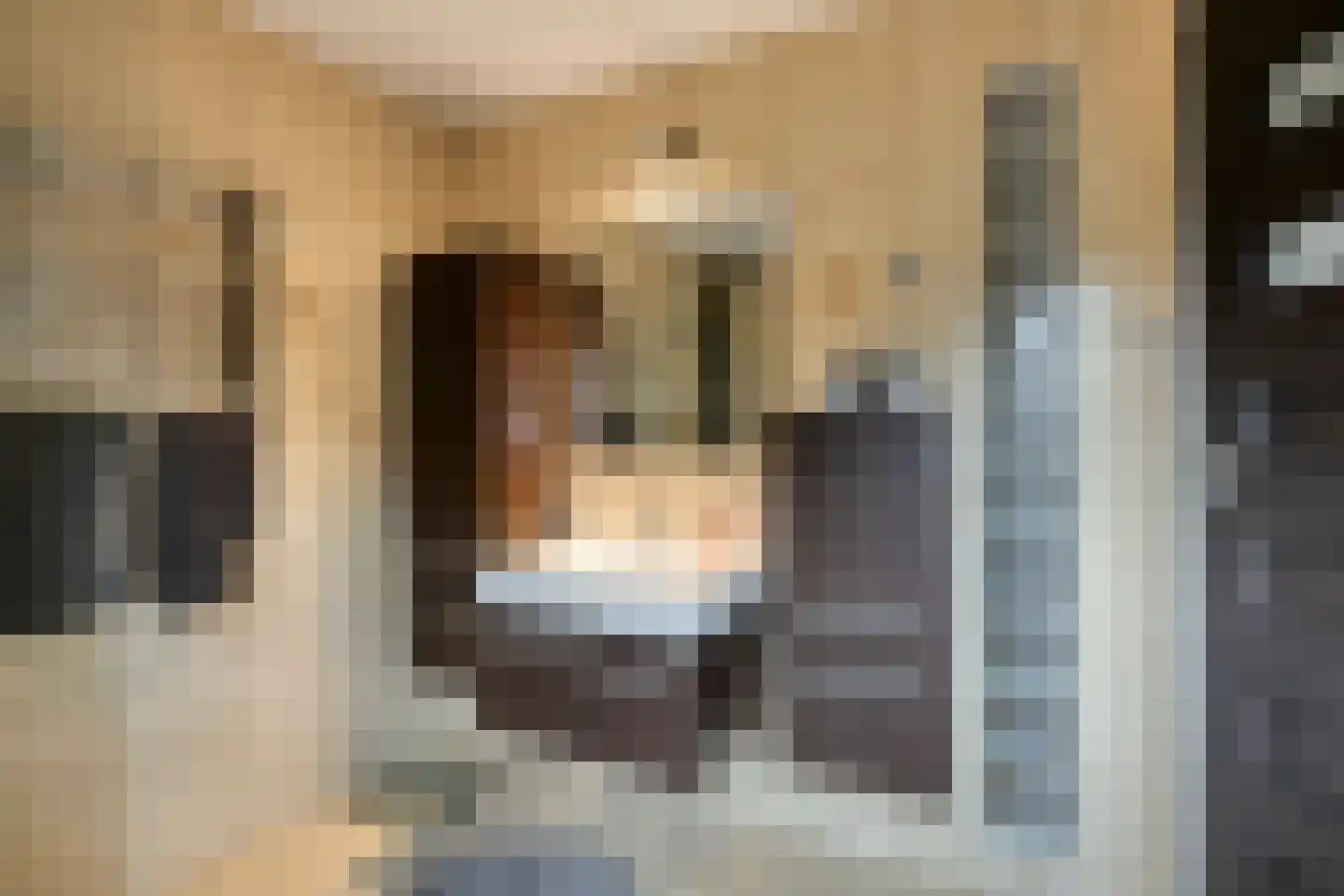 Evertsenstraat 44 Veghel thumbnail 23