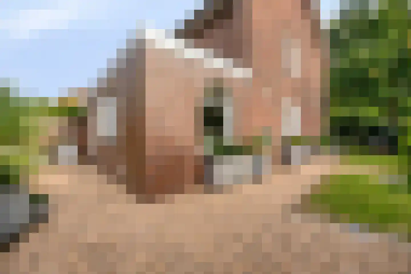 Evertsenstraat 44 Veghel thumbnail 27