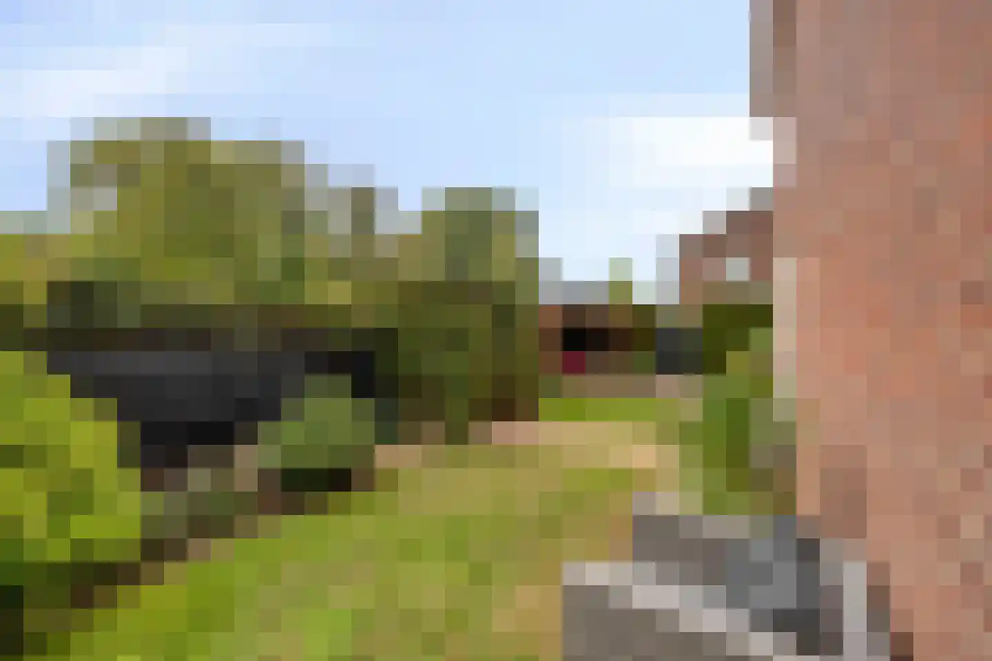 Evertsenstraat 44 Veghel thumbnail 31