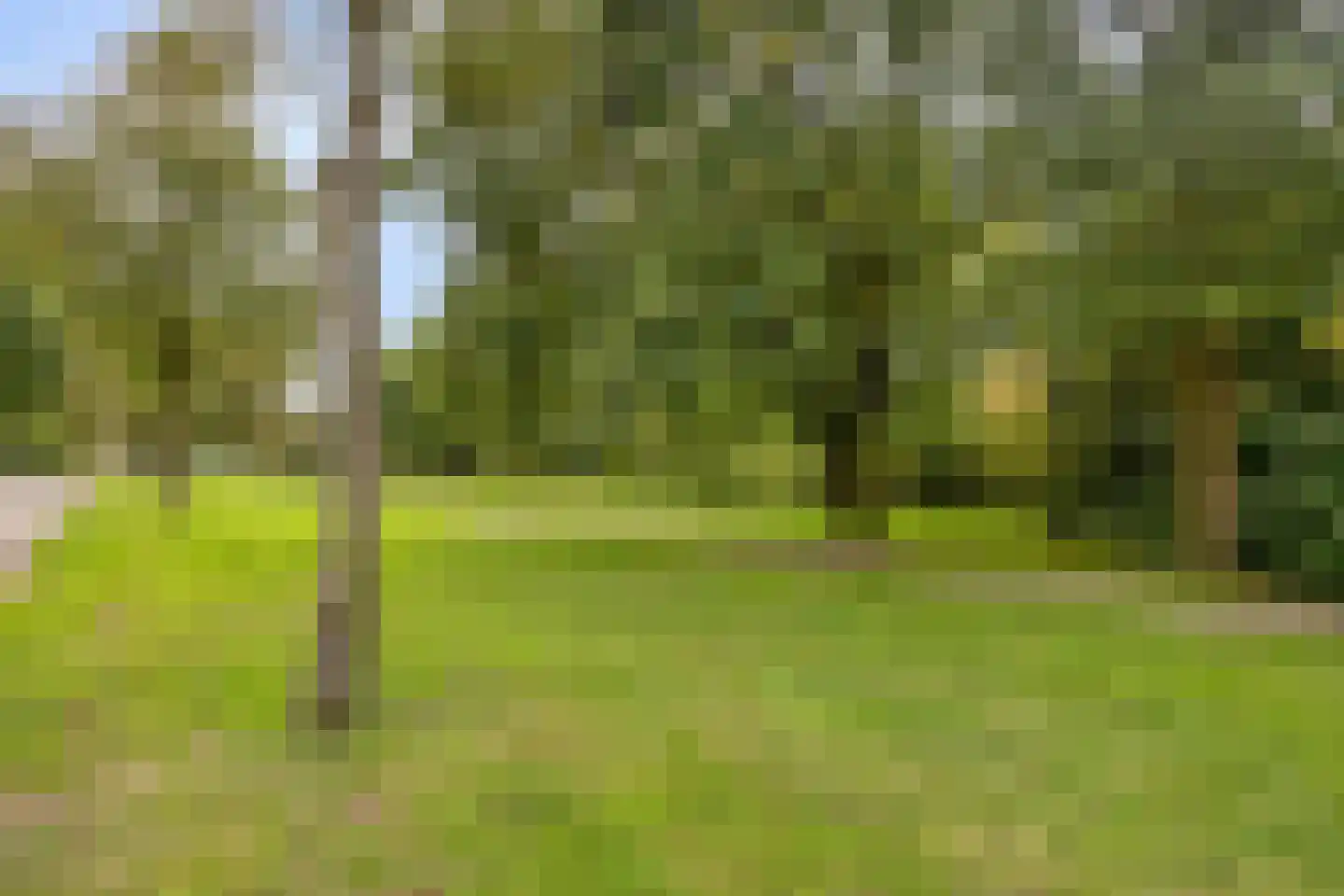 Evertsenstraat 44 Veghel thumbnail 37