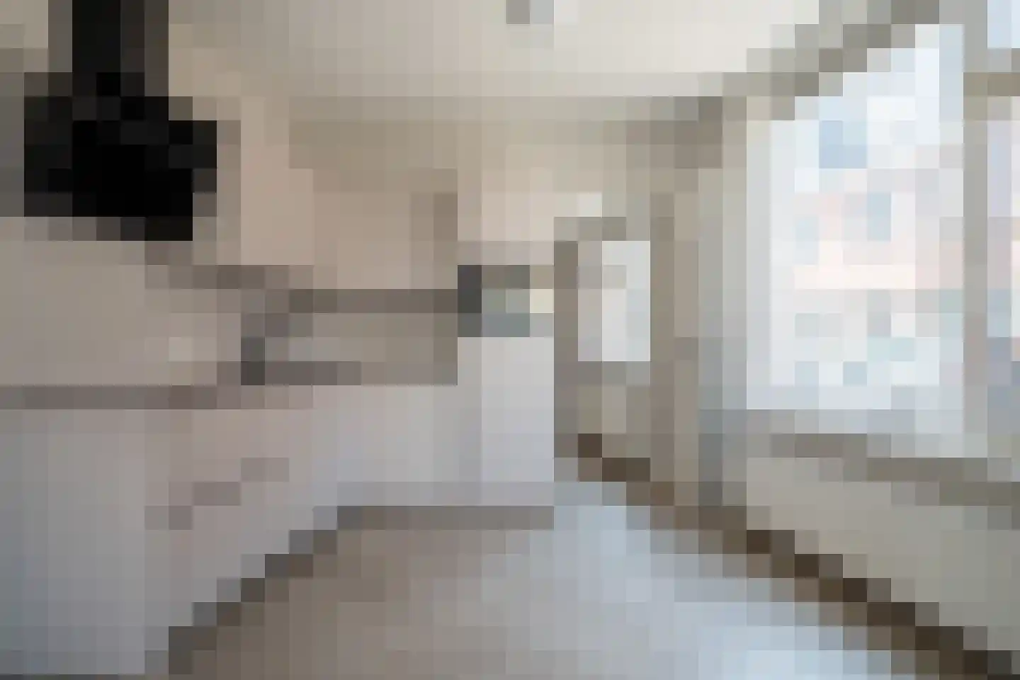 Evertsenstraat 49 Leiden thumbnail 6