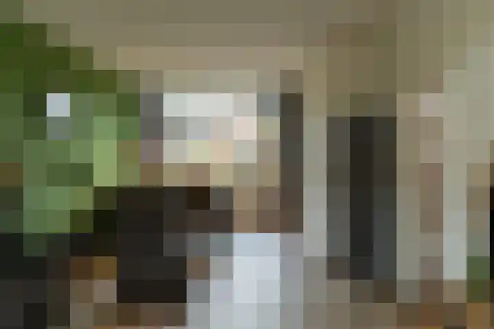 Evertsenstraat 6 Groenlo thumbnail 11