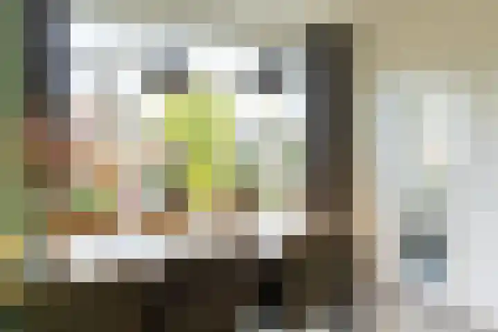 Evertsenstraat 6 Groenlo thumbnail 12