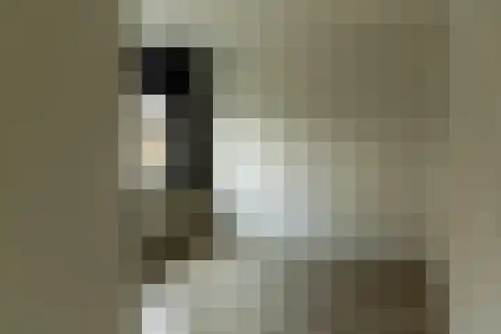 Evertsenstraat 6 Groenlo thumbnail 21