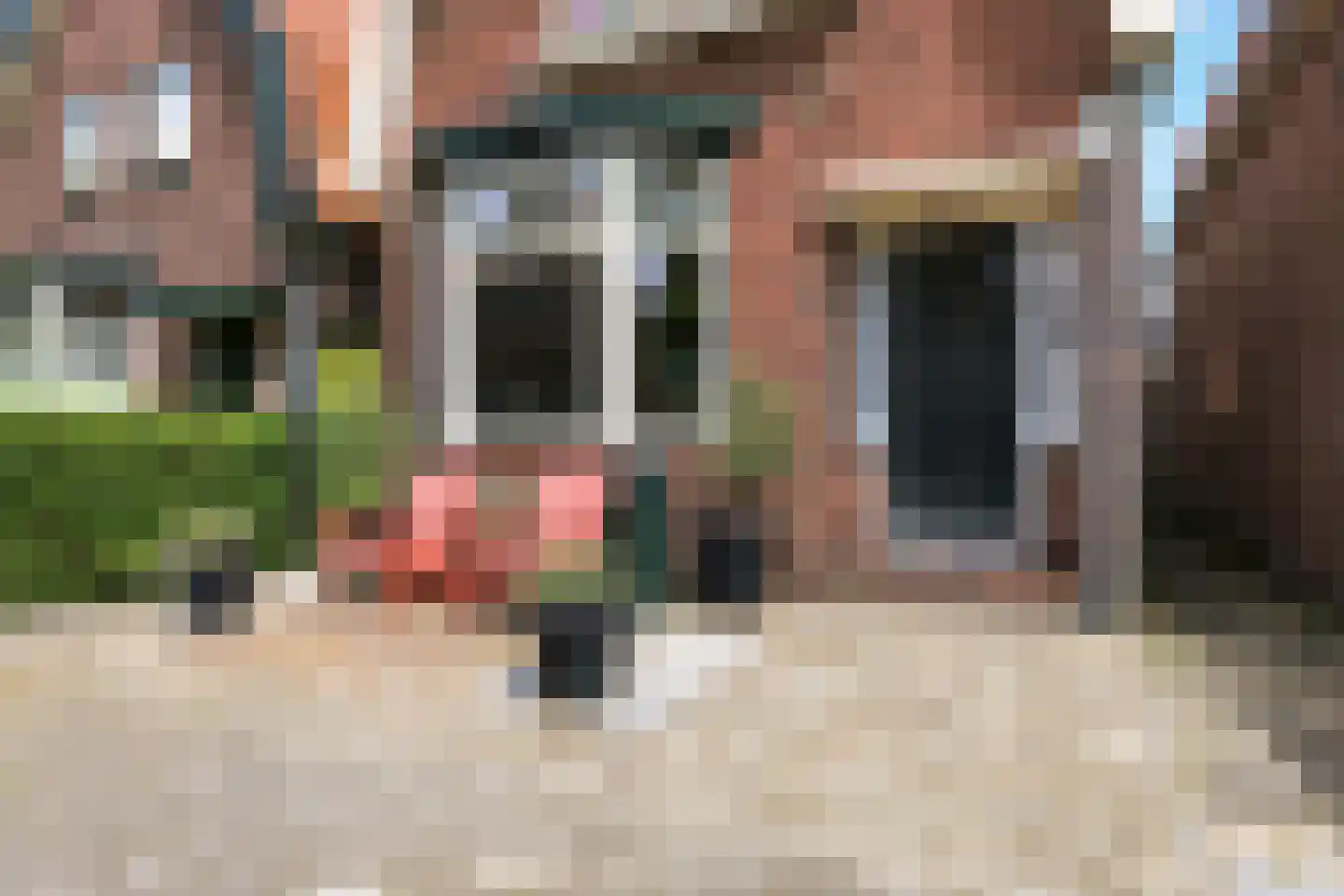 Evertsenstraat 6 Wormerveer thumbnail 28