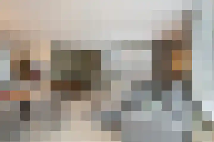 Evertsenstraat 60 Zwolle thumbnail 12