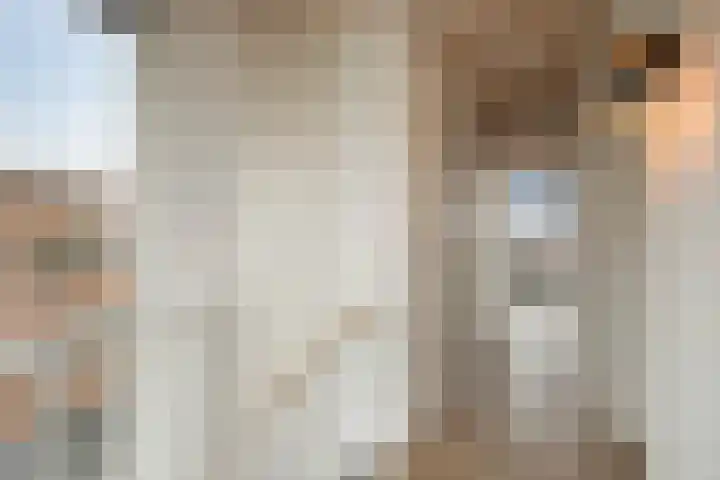 Evertsenstraat 60 Zwolle thumbnail 32