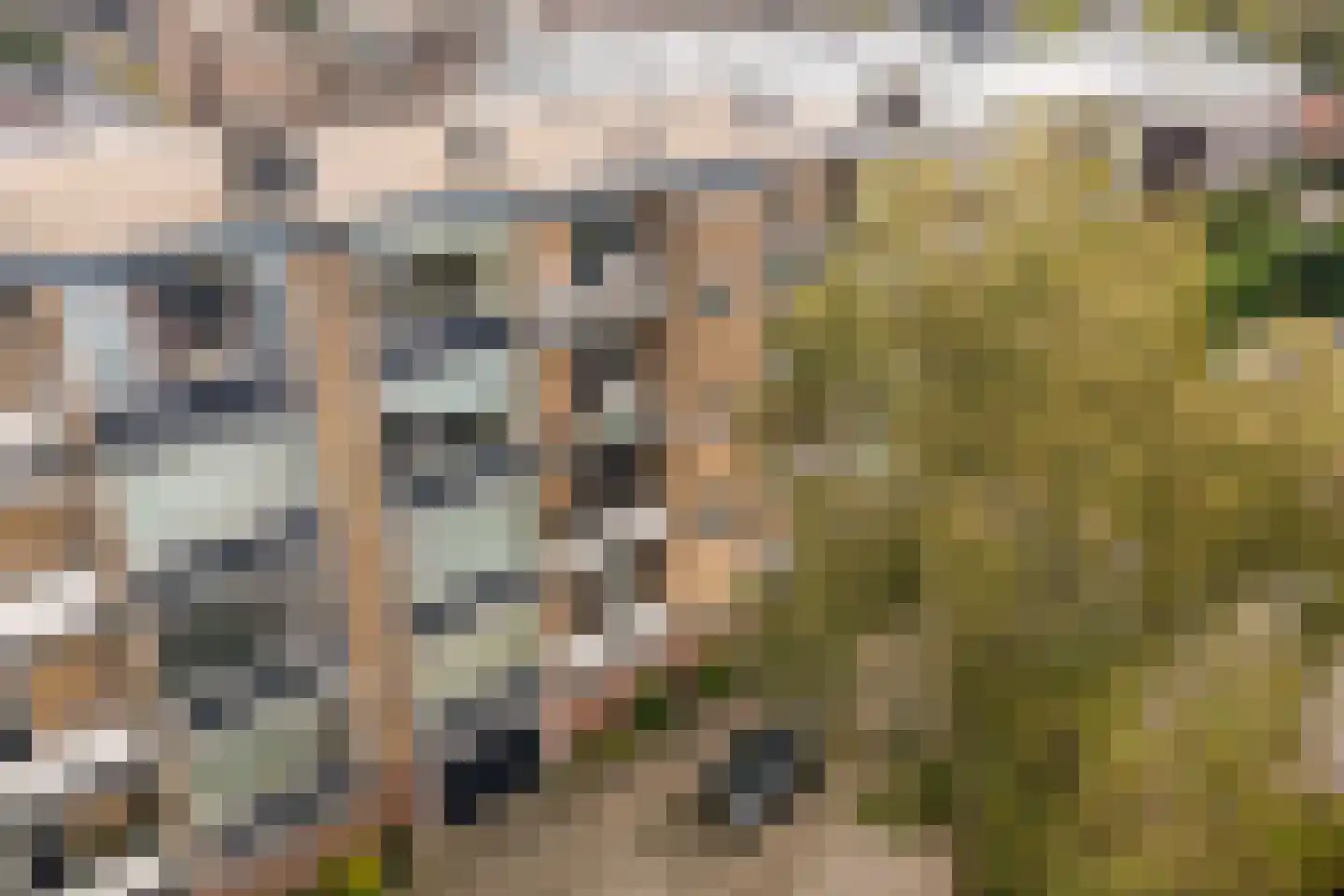 Evertsenstraat 71 Ede thumbnail 31