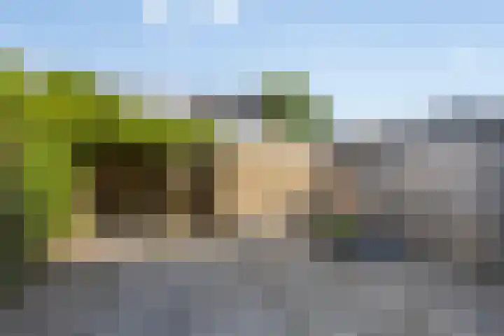 Evertsenstraat 78 Hendrik-Ido-Ambacht thumbnail 13