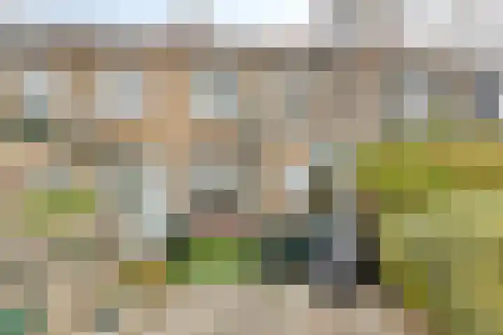 Evertsenstraat 78 Leiden thumbnail 18