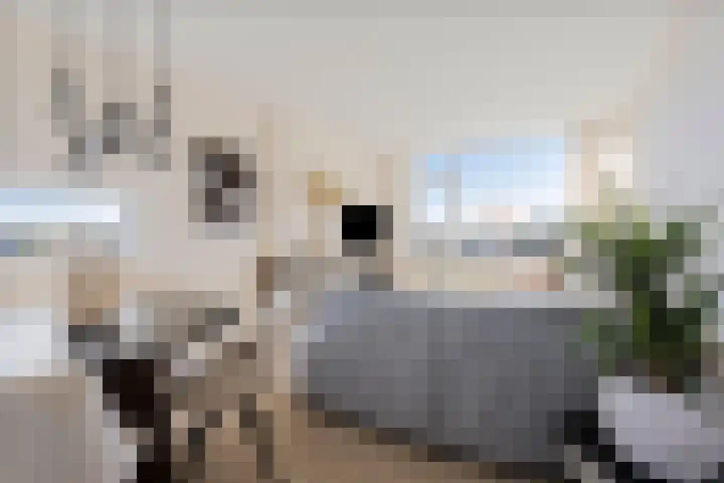 Evertsenstraat 79 Ede thumbnail 10