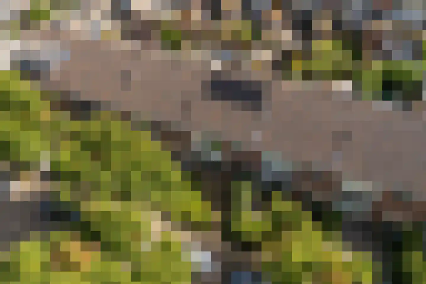 Evertsenstraat 8 De Meern thumbnail 30