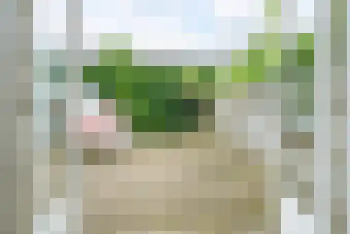 Evertsenweg 7 Breda thumbnail 22