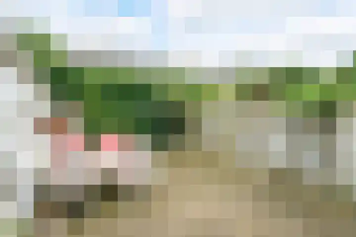 Evertsenweg 7 Breda thumbnail 23