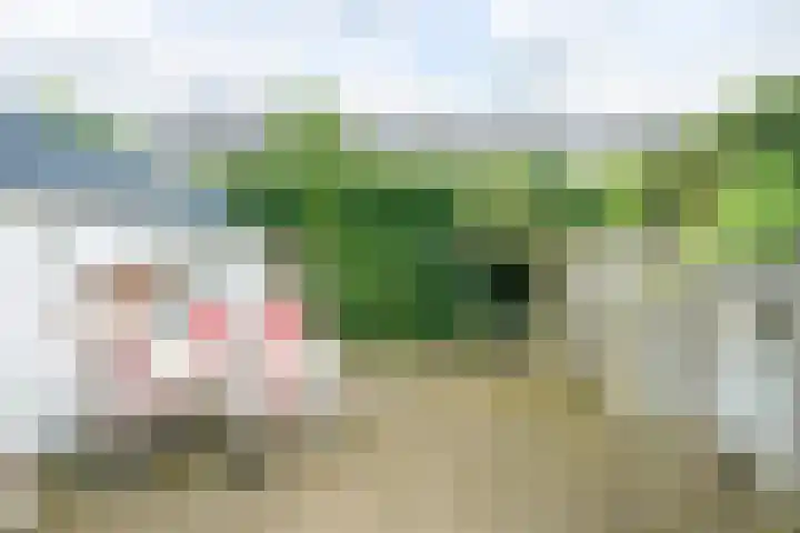 Evertsenweg 7 Breda thumbnail 24