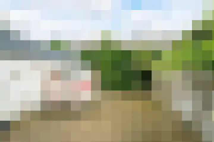 Evertsenweg 7 Breda thumbnail 25