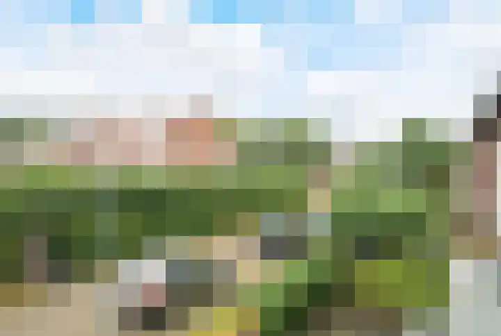 Evertsenweg 7 Breda thumbnail 36