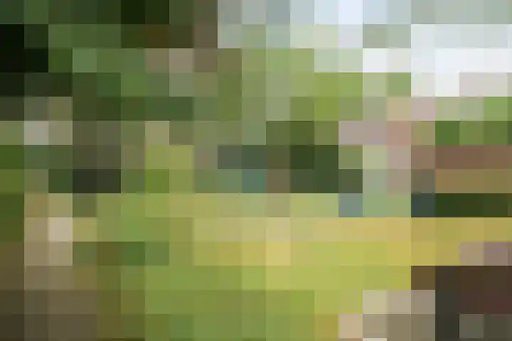 Evertsenweg 7 Breda thumbnail 46