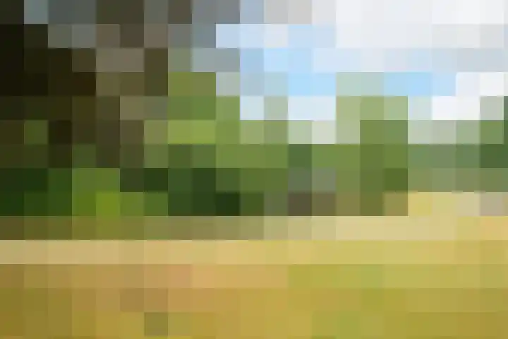 Evertsenweg 7 Breda thumbnail 47