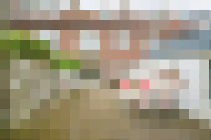 Evertsenweg 7 Breda thumbnail 5
