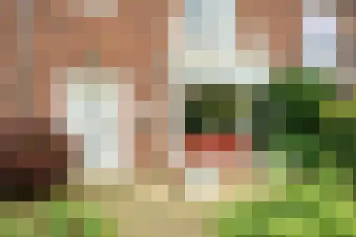 Evertsenweg 7 Breda thumbnail 7