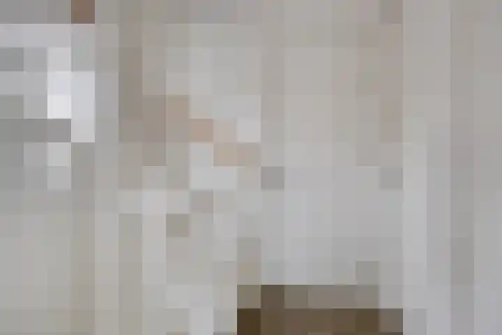 Evertshoeve 11 Veghel thumbnail 11
