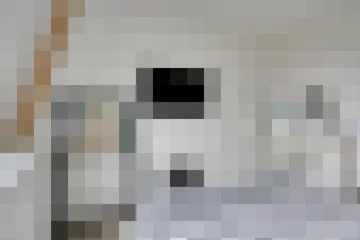 Evertshoeve 11 Veghel thumbnail 14