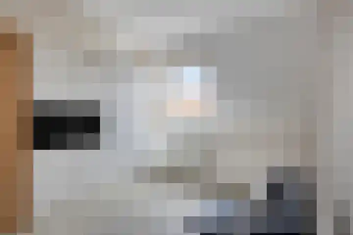 Evertshoeve 11 Veghel thumbnail 15