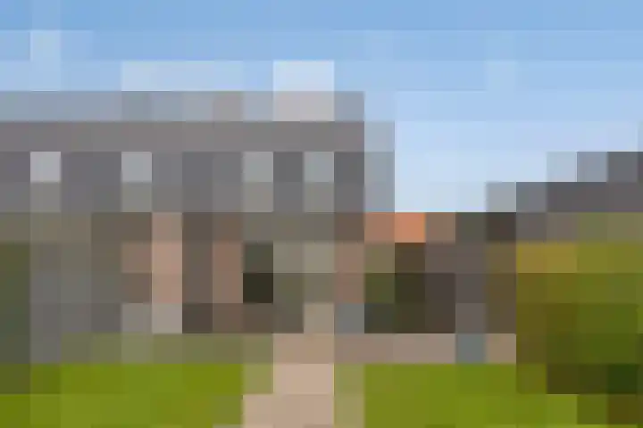 Evertshoeve 11 Veghel thumbnail 20