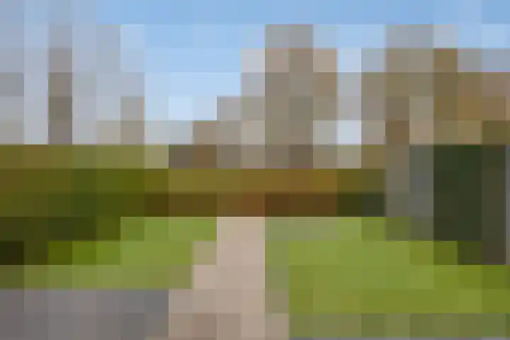 Evertshoeve 11 Veghel thumbnail 21