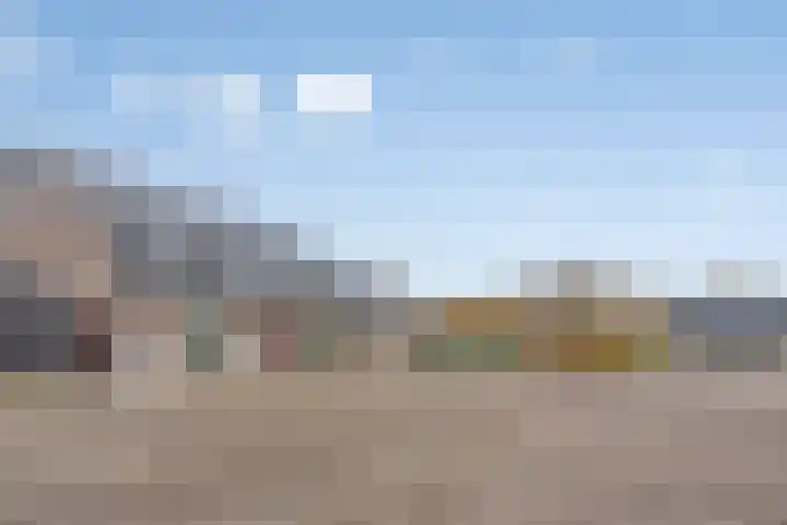 Evertshoeve 11 Veghel thumbnail 24