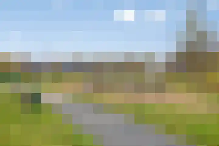 Evertshoeve 11 Veghel thumbnail 26