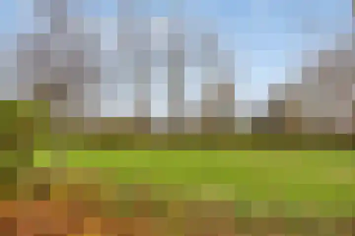 Evertshoeve 11 Veghel thumbnail 27