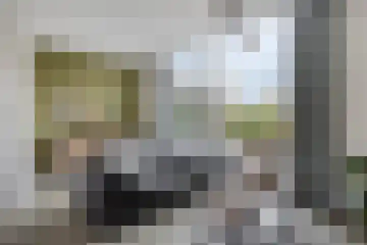 Evertshoeve 11 Veghel thumbnail 5