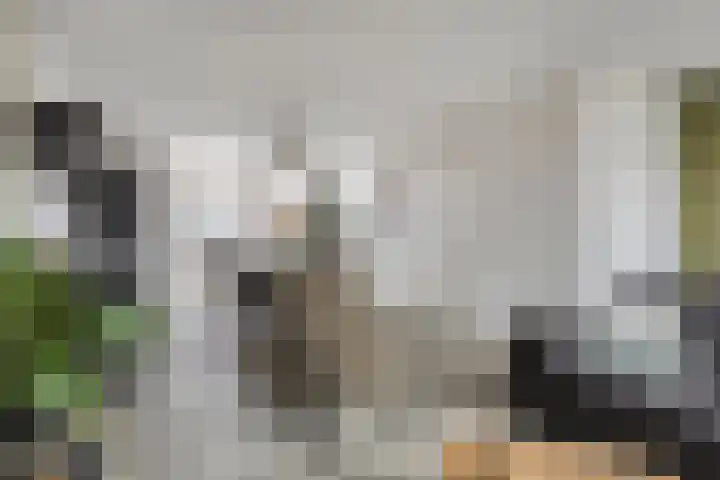 Evertshoeve 11 Veghel thumbnail 6