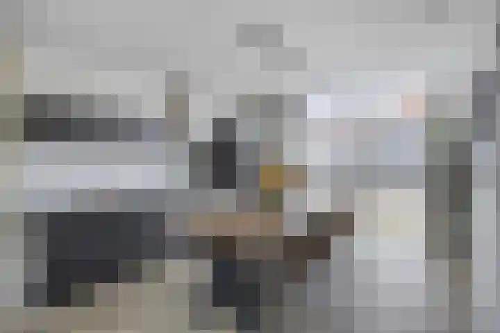 Evertshoeve 11 Veghel thumbnail 8
