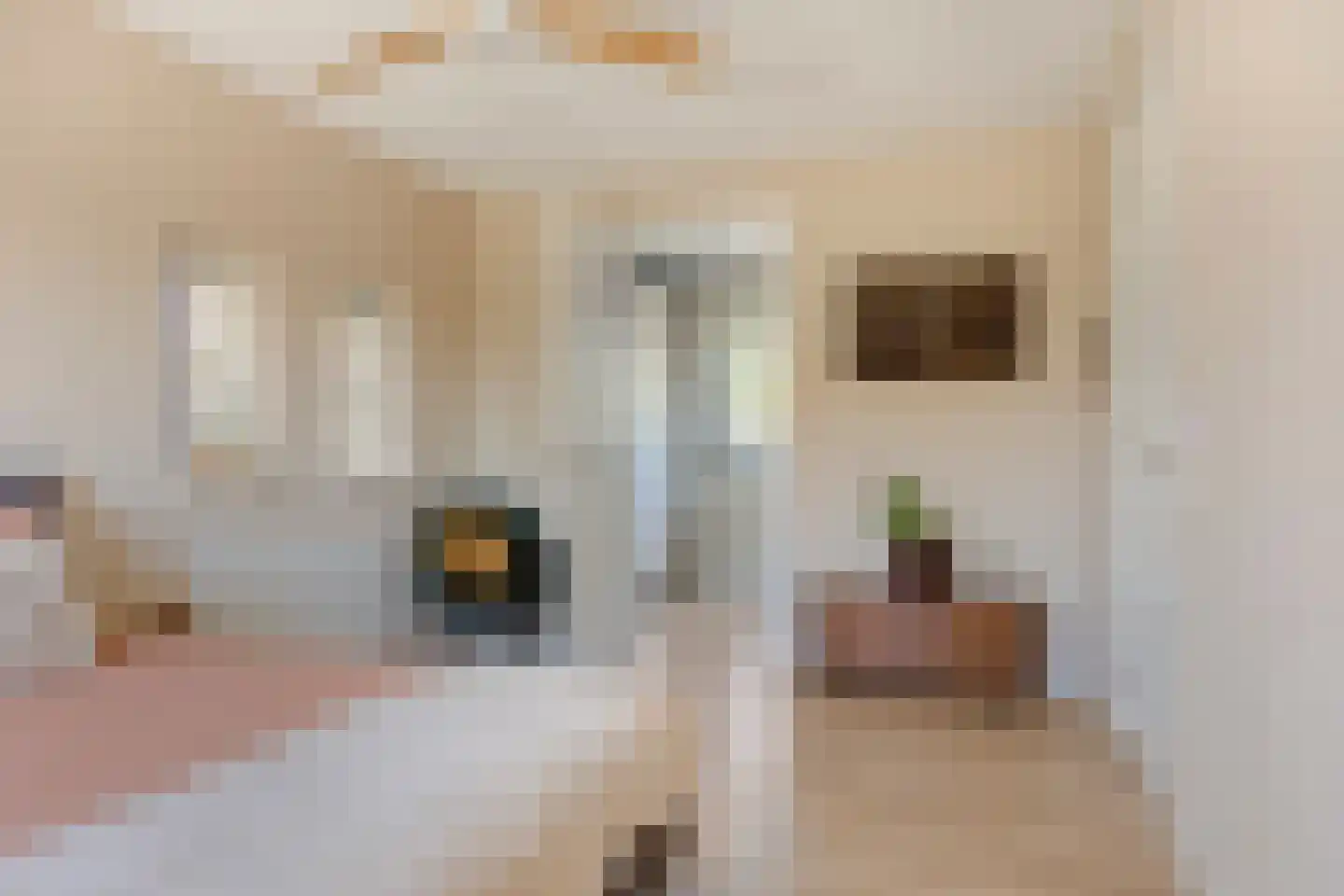 Evertshoeve 13 Veghel thumbnail 30