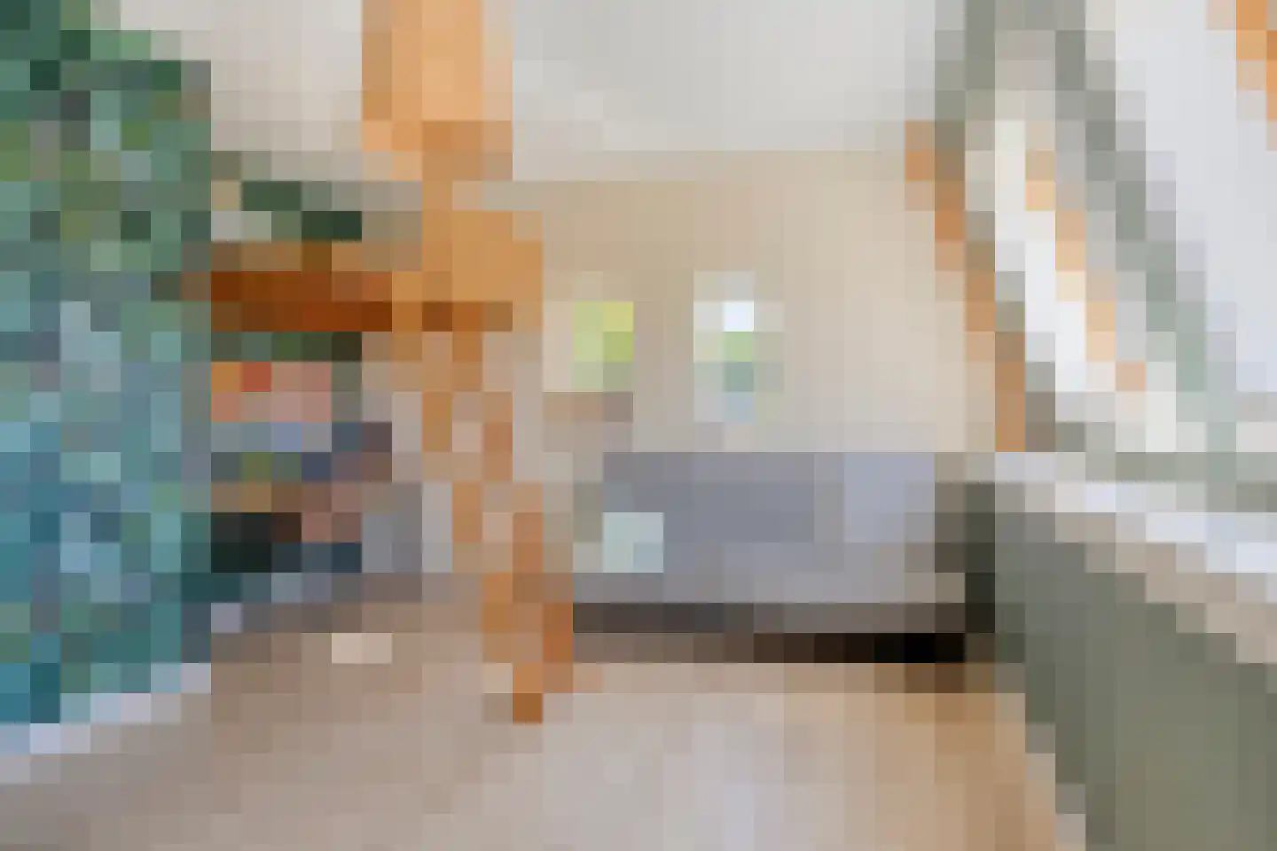 Evertshoeve 13 Veghel thumbnail 36
