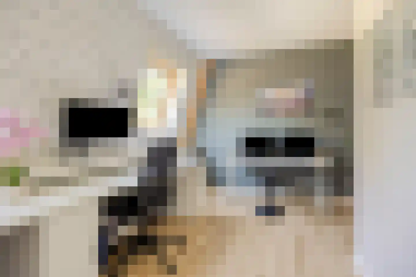 Evertshoeve 13 Veghel thumbnail 41