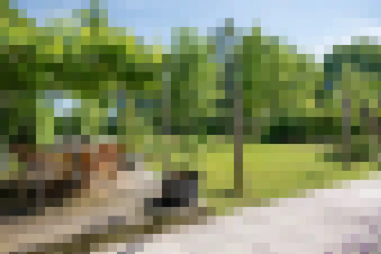 Evertshoeve 13 Veghel thumbnail 48